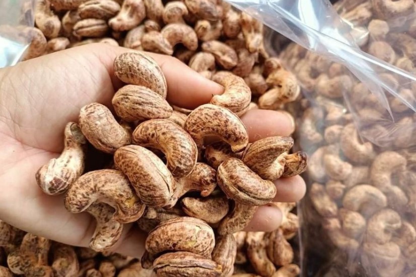 Chế biến hạt điều xuất khẩu